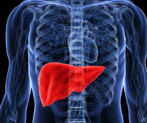 Healthy Liver, Healthy Life